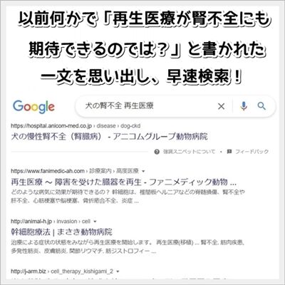 0hanegi08