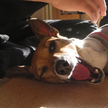 ��������٤Ρ�����