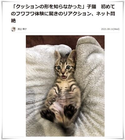 ホンマかいな