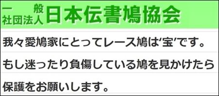 どうやって捕まえろと?