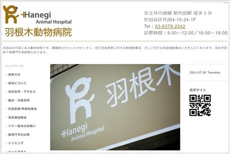0hanegi09