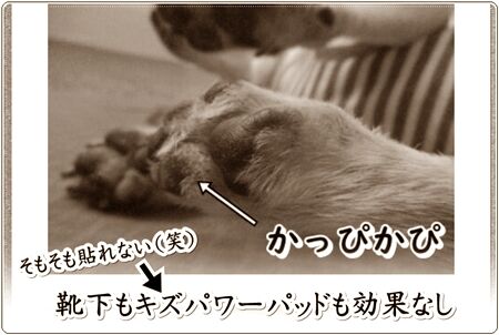 0hifu03