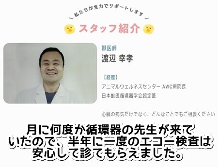 0shujii08