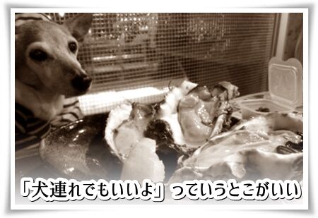 The Oyster Mans 再び