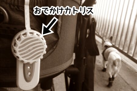 刺されまくり