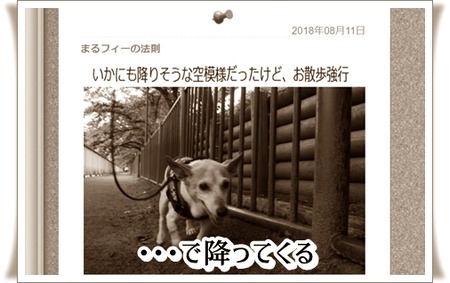 実は太古の昔から