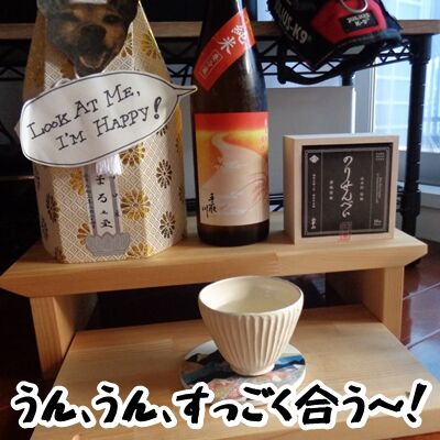酒とせんべいとわたし