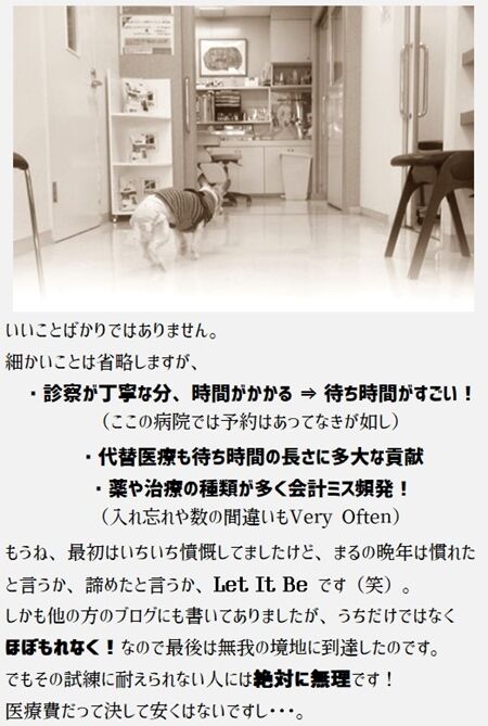 0shujii09