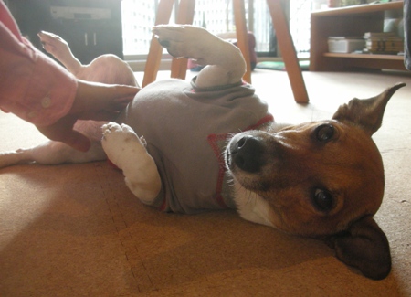 ��������˺�����ŷ�ϡɤǤ���