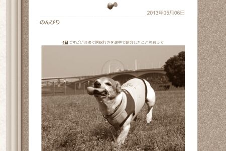 間違って消しちゃった?