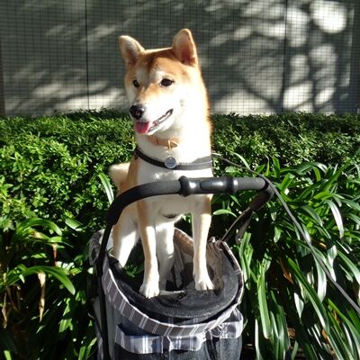 すこ〜し落ち着いてきたけど