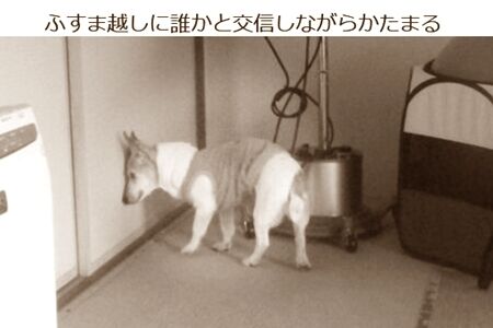 しばしば行われる