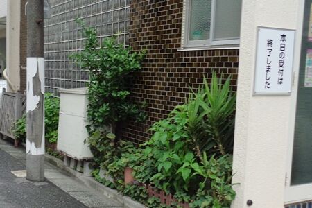 図書館への途中