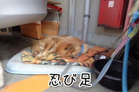 近づいてみたけど