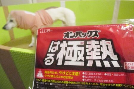 極熱の老犬 まるとお散歩diary 極熱の老犬 まるとお散歩diary