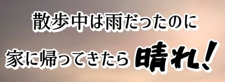 だから何でやねん?