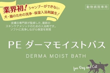 ぴーいー