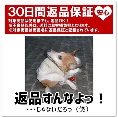 こりゃ親切