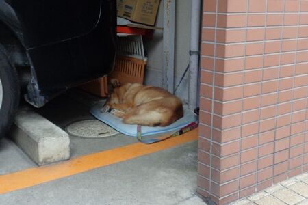 Sleeping?
