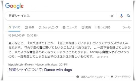 What is 音響シャイ?