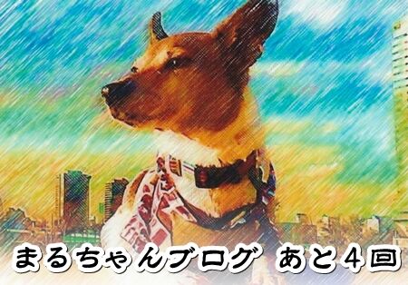 ºÇ¸å¤Þ¤Ç¤è¤í¤·¤¯