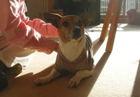 ������ޤ��˳ڡ��˳�