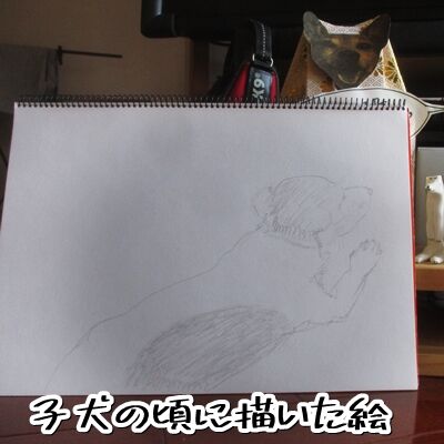 スケッチブック