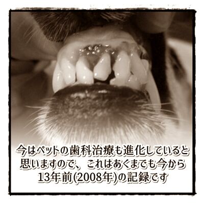 0tooth01