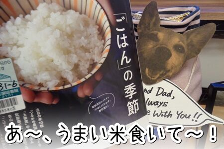 dancyu