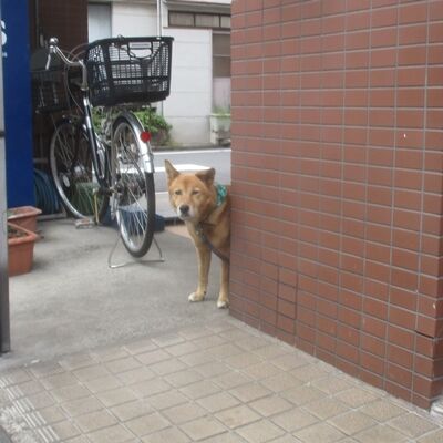 Hey, what��s up, buddy��