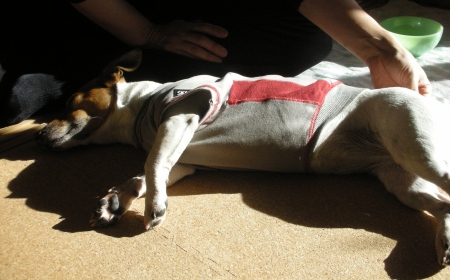 �����ؤ��ؤ���