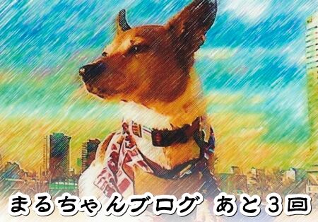 ¥Õ¥¡¥¤¥Ê¥ë¥«¥¦¥ó¥È¥À¥¦¥ó