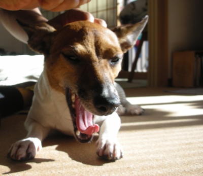 ���ηä��ޤ�ä����뤯�ơ���