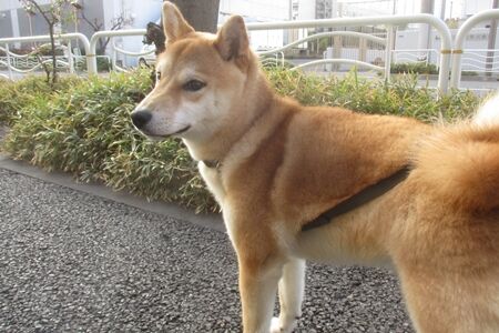 同じマンションに住む