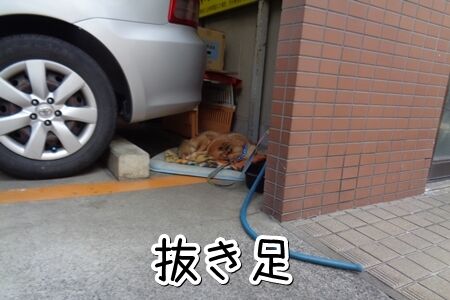 熟睡