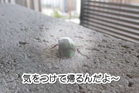 See Ya!
