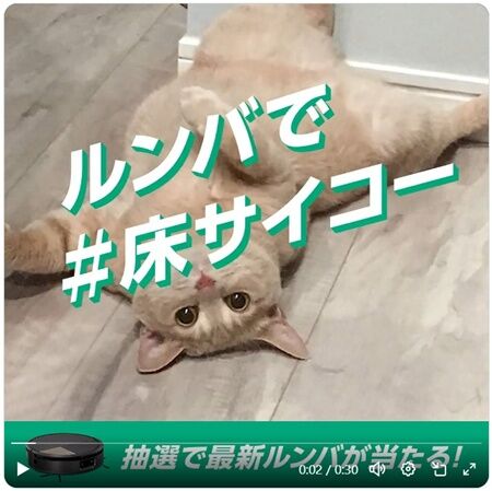 roomba
