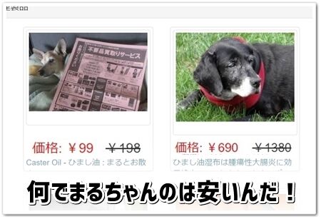 何なの?