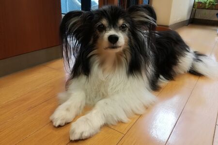 1カ月のごぶさたです