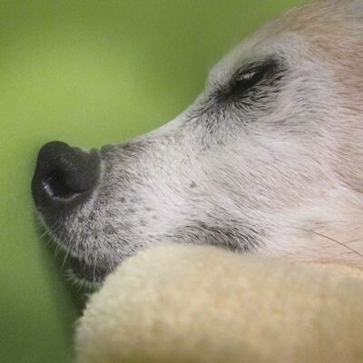 むぎゅ〜っ・・・て感じ