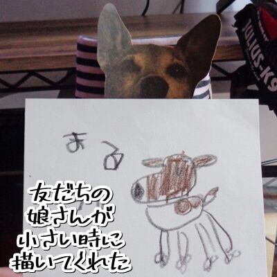 Cuuuuuute!