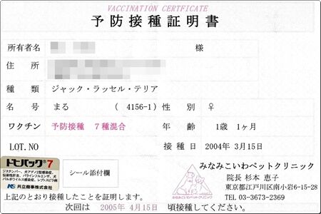 ヴァクシン