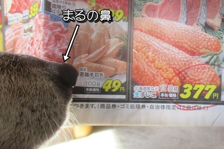 これこれ、これですよ!