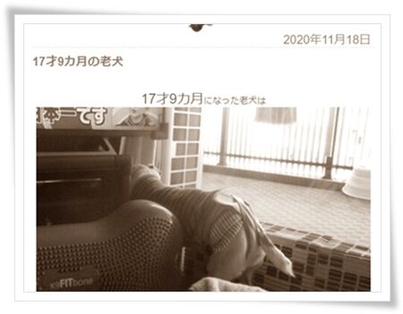 ちょうど1年前