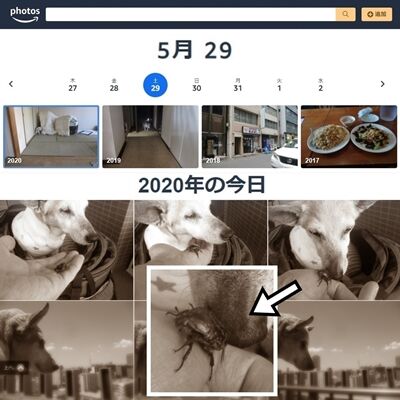 ��ǯ�κ���