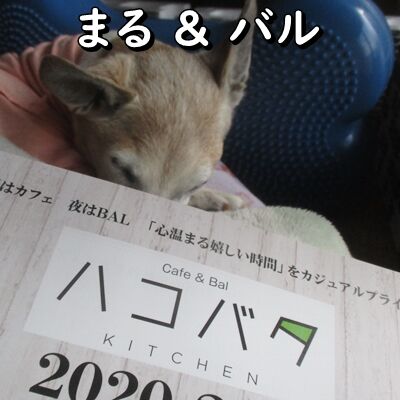 誰も気づかなかったのかしら