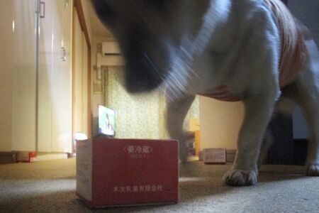 ず〜っとやってらっしゃる