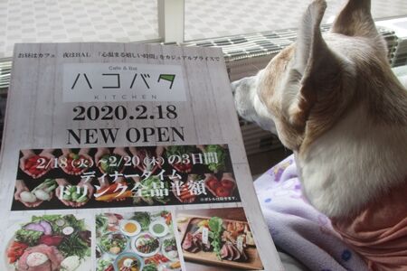 NEW OPEN!