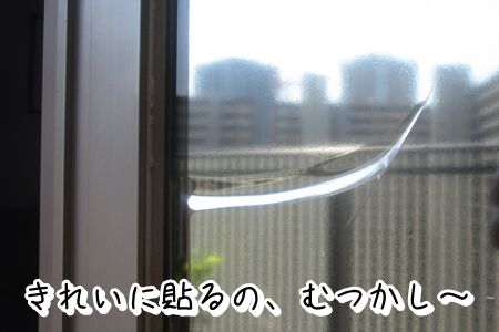 はりはり