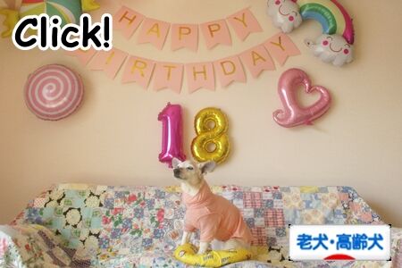 クリック プリーズ!